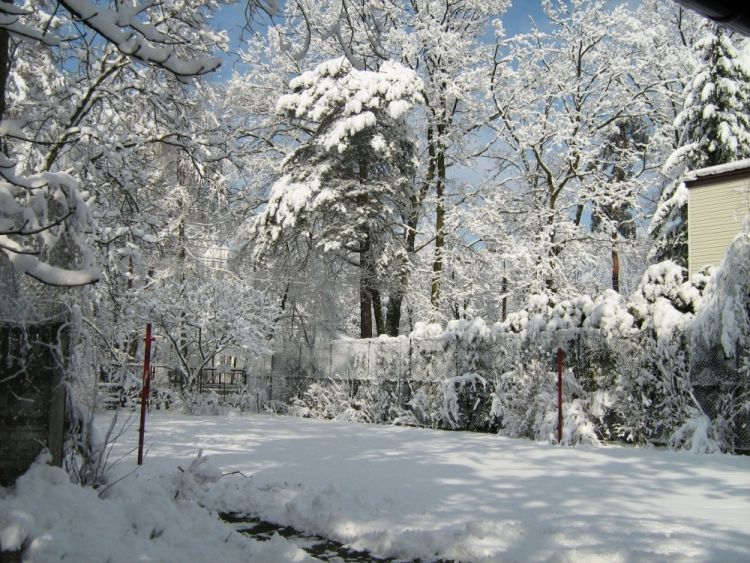 zima2009a